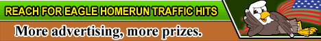 Eagle HItz banner