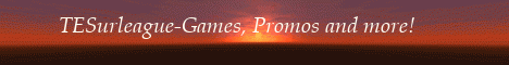 TE Surf League banner