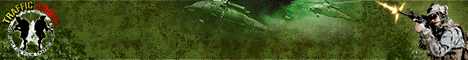 Traffic Corps banner